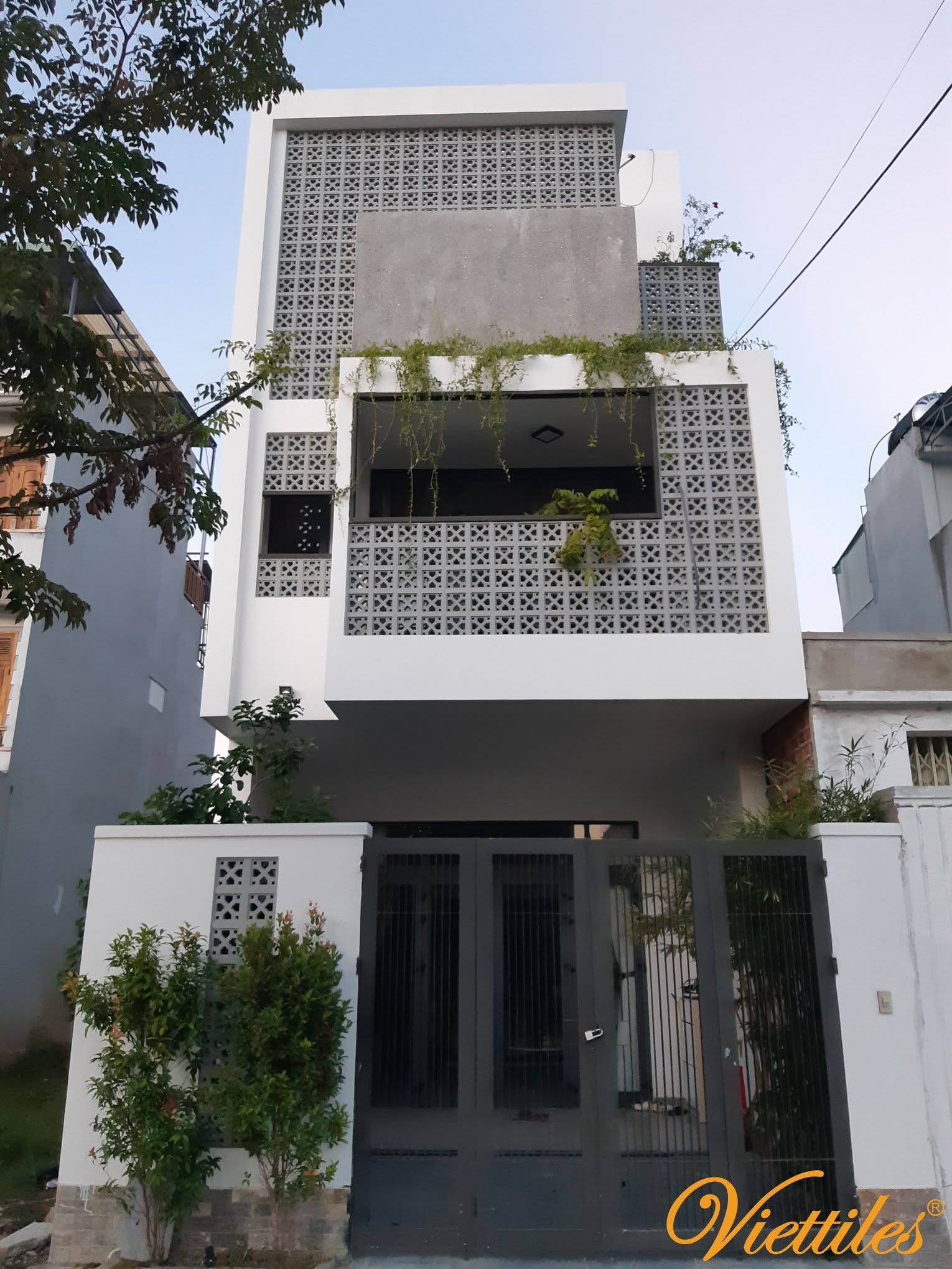 Coin Motif Ventilation Blocks: An Elegant Accent for Building Facades