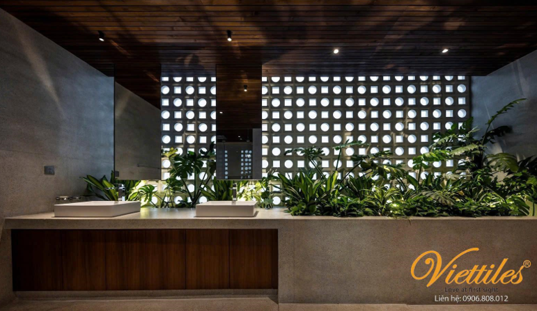 gach bong gio viettiles 2