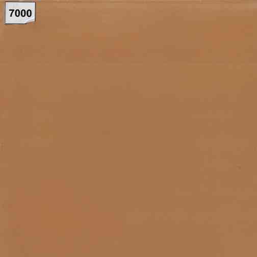 7000