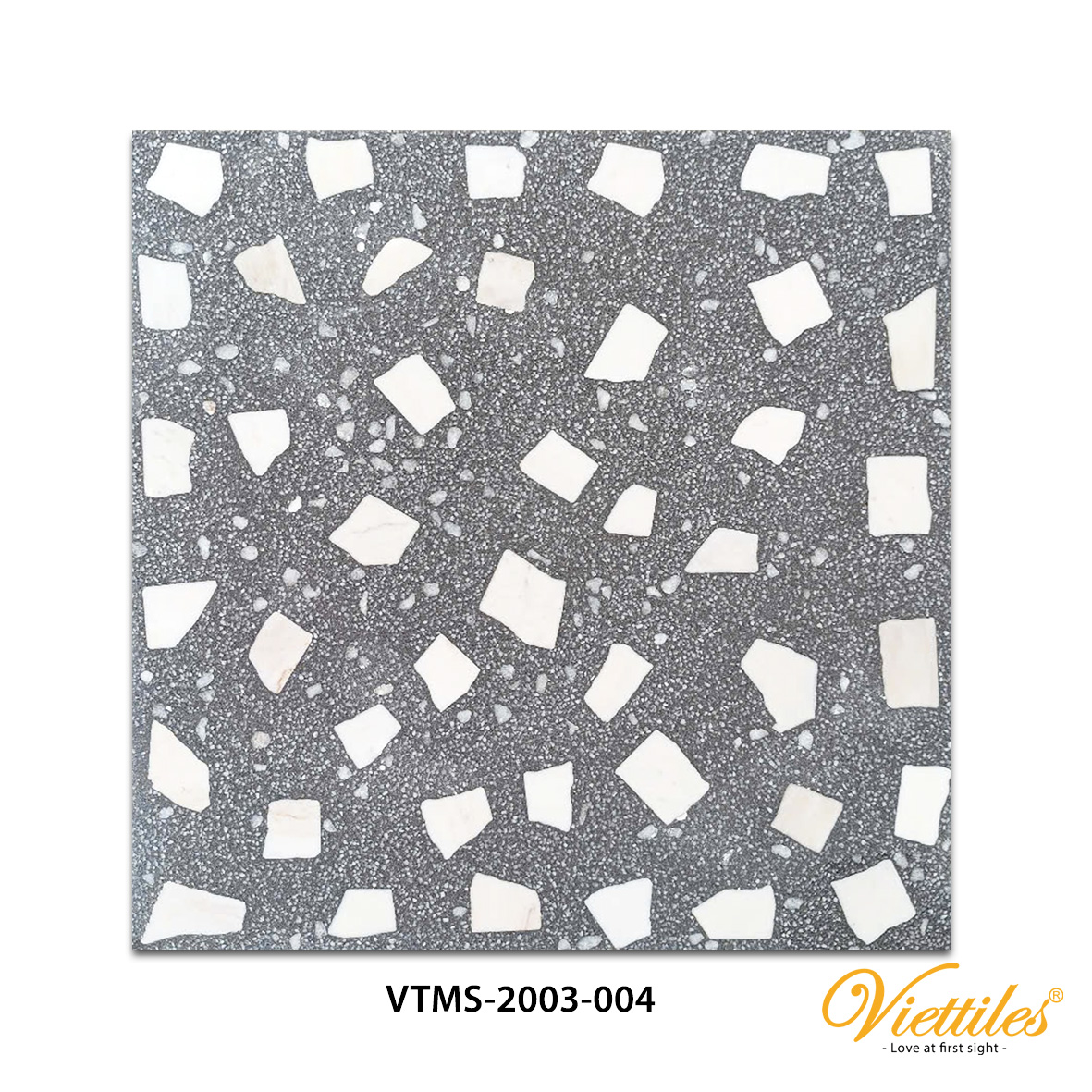 VTMS-2003-004