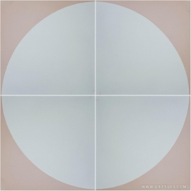 V20-981-T05 Gạch Bông
