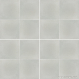 V20-2019 Cement Tile