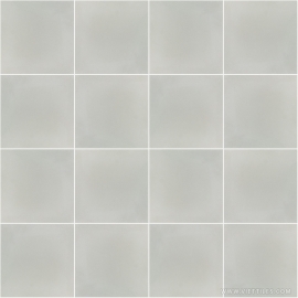 V20-2019 Cement Tile