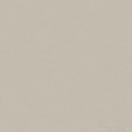 V20-2025 Cement Tile