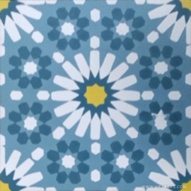 V20-170-S03 Cement Tile