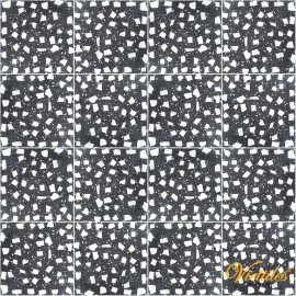 VTMS-2000-006