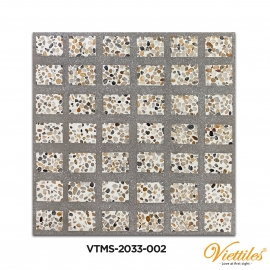 VTMS60-2033-002