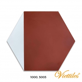 VH34-001-T01